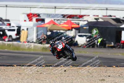 media/Apr-07-2024-CVMA (Sun) [[53b4d90ad0]]/Race 2 Supersport Middleweight/